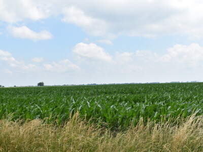 Održivo korištenje tla uz nove tehnologije u tvrtki Belje