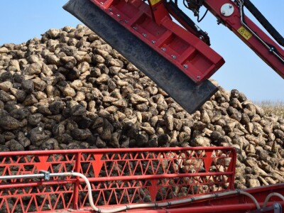 Miroslav Božić Miroslav Božić