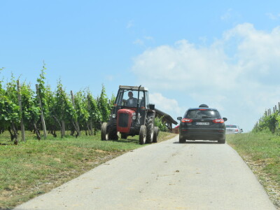 Vinska cesta Banovo brdo