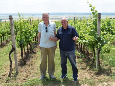 Vinska cesta Banovo brdo