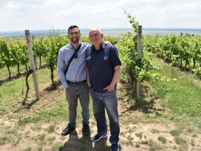 Vinska cesta Banovo brdo