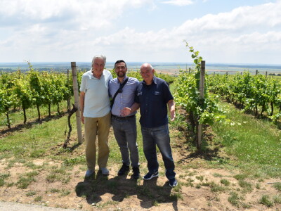 Vinska cesta Banovo brdo