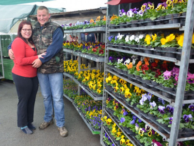 Uzgoj cvijeća na OPG-u Pavičić Uzgoj cvijeća na OPG-u Pavičić