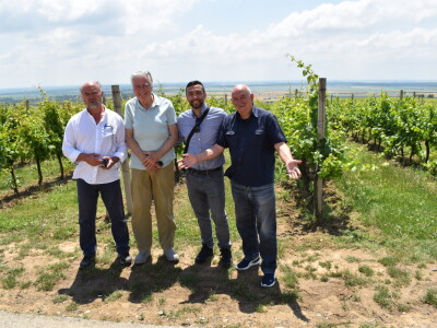 Vinska cesta Banovo brdo