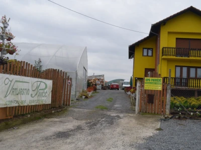 Uzgoj cvijeća na OPG-u Pavičić