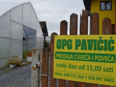Uzgoj cvijeća na OPG-u Pavičić
