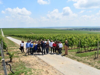 Vinska cesta Banovo brdo