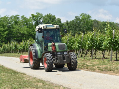 Vinska cesta Banovo brdo
