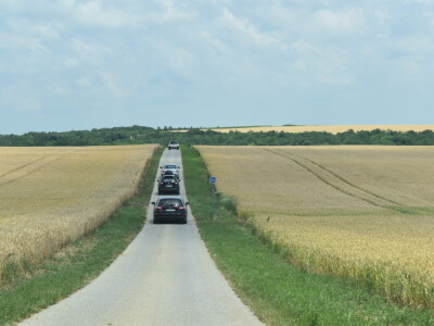 Vinska cesta Banovo brdo