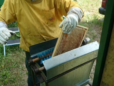 Proces proizvodnje meda