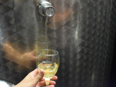 Radionica "Što donosi novi ZPP?"