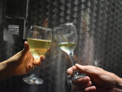 Radionica "Što donosi novi ZPP?"