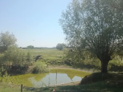 Ribnjak uz farmu
