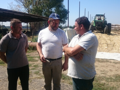 Prijatelji pomažu jedni drugima