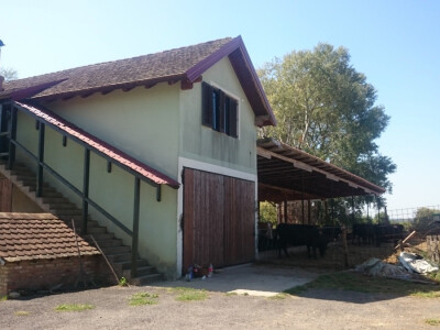 Farma OPG Vučković