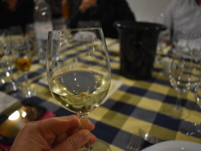 Green visit Podunavlje