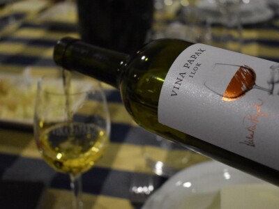 Green visit Podunavlje