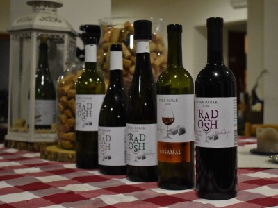 Green visit Podunavlje