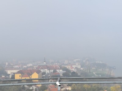 Green visit Podunavlje