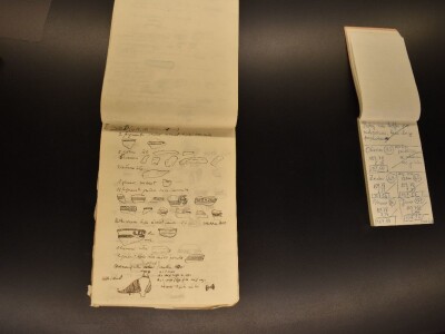 Green visit Podunavlje