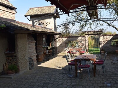 Green visit Podunavlje