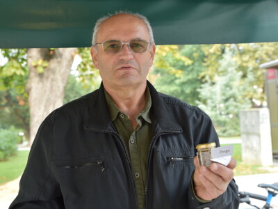 Poznati bjelovarski pčelar Miroslav Petreković o najljekovitijem pčelinjem proizvodu „perge“