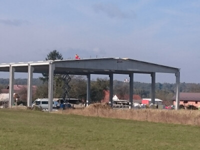 Ekološki uzgoj donedavno zabranjene biljke