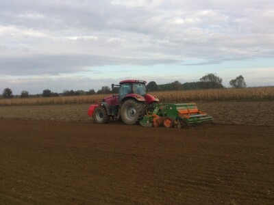 OPG Saša Saraja OPG Saša Saraja