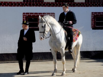 Bolje da nestane selo, nego običaji