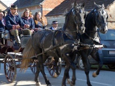 Bolje da nestane selo, nego običaji