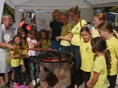 Mažoretkinje grada lipika