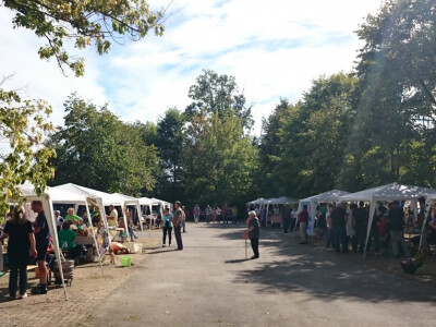 Gradskim parkom širio se miris ajvara