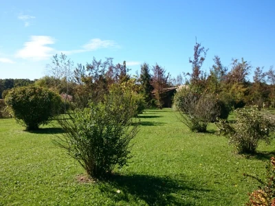 Slavonski sokak