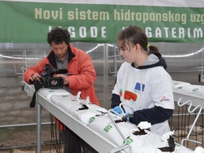 Hidroponski uzgoj jagoda