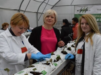 Hidroponski uzgoj jagoda