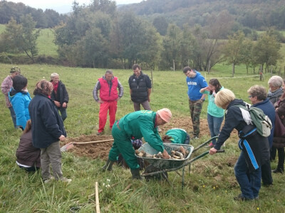 Rogovi su zakopani na livadi