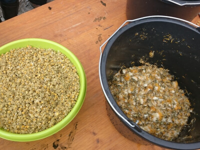 Kamilica i maslačak