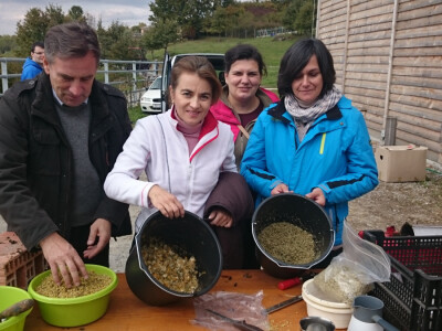 Intervju: mr. Dijana Posavec Intervju: mr. Dijana Posavec