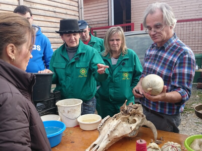 Za pripravak koristi se mjehur od jelena