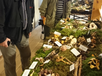 Zlatko Horvat i Ivica Stožicki Zlatko Horvat i Ivica Stožicki