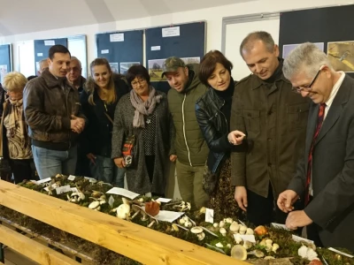 Grad Kutina i JU PP Lonjsko polje potpomažu Festival gljiva