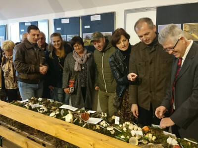 Grad Kutina i JU PP Lonjsko polje potpomažu Festival gljiva Grad Kutina i JU PP Lonjsko polje potpomažu Festival gljiva