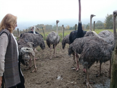 Kata se iz Zagreba vratila na očevinu