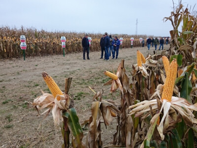 Obilazak i razgledanje