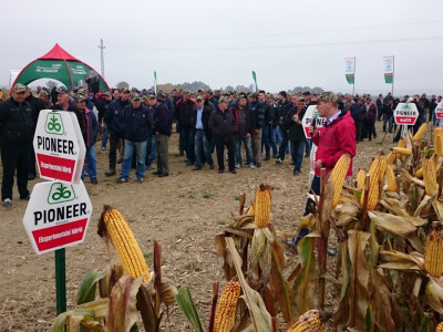 Zanimanje za nove Pioneerove hibride