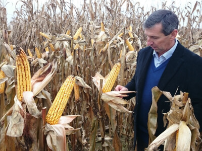 Željko Viboh zadovoljan ovogodišnjim urodom