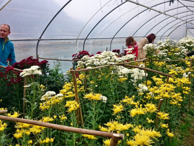 Učeničko zadrugarstvo