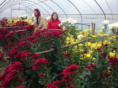 Učeničko zadrugarstvo