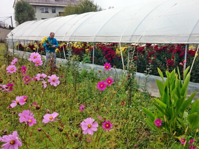 Učeničko zadrugarstvo