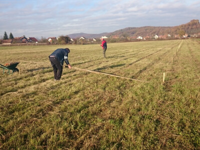OPG Romanić iz Medara